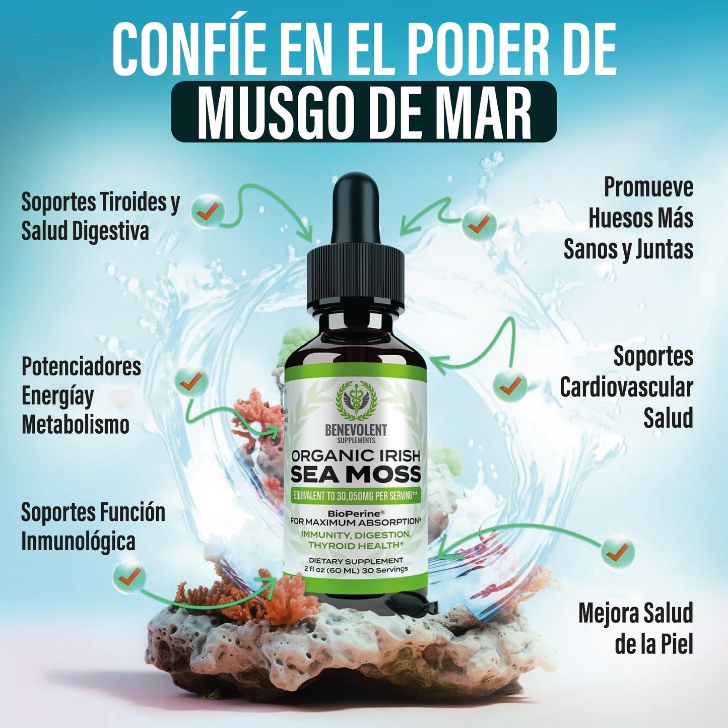 LIQUID CHLOROPHYLL™- Gotas de clorofila x60ml